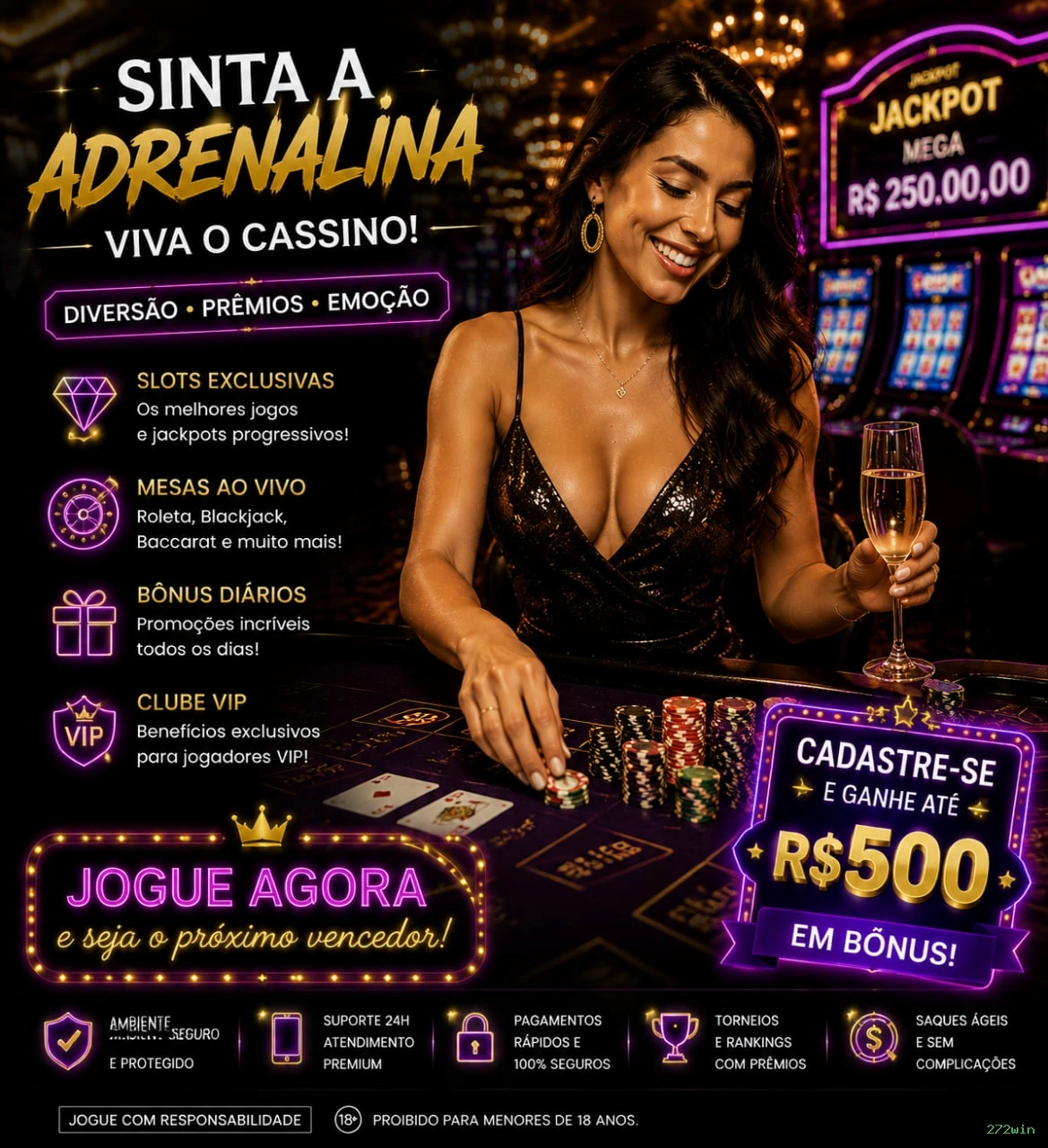 Segurança 272win